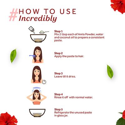 Atulya Hibiscus Organic Powder 100 gm - Conditioners