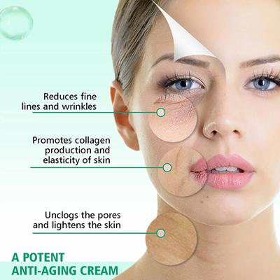 The Beauty Sailor Pro-Retinol Face Cream Anti-Aging Retinol Night Cream with Hyaluronic Acid 50 gm - Night Cream