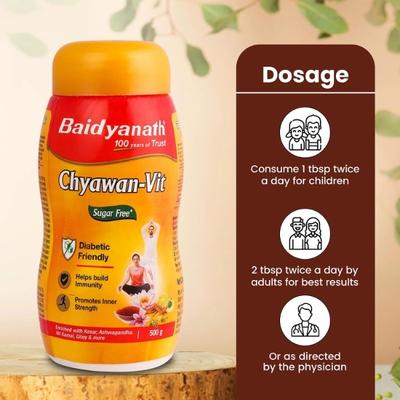 Baidyanath Sugarfree Chyawan Vit Powder 500 gm - Chyawanprash