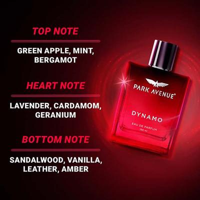 Park Avenue Dynamo Premium Perfume for Men 100 ml - Face Gels