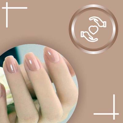 Nails On Board Handmade Press On Gel Nails- Chocolate Nude Medium 50 gm - Nail Care