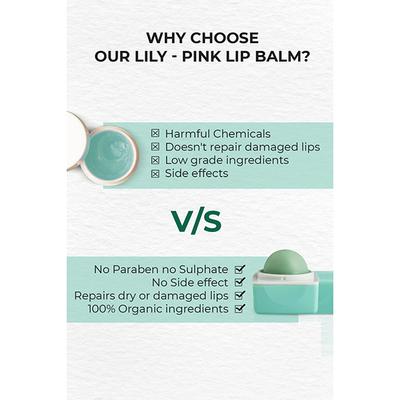 Organic Harvest High Gloss Lip Balm(Green Tea) 10 gm - Lip Balms