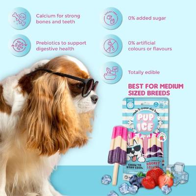 Pup Ice Rocket Lollies Blueberry & Strawberry 90 g - Petfood