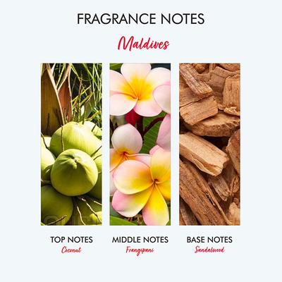 The Love Co. Maldives Body Wash - Body Wash For Women - Hydrating - Moisturizing Body Care - 100% Vegan - Paraben Free 250 ml - Shower Gels & Body Wash