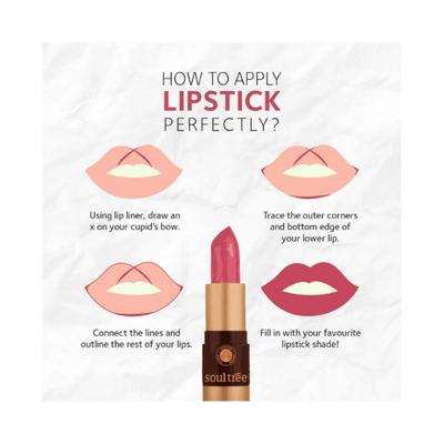 SoulTree Lipstick Nude Pink 500 4 gm - Lipsticks