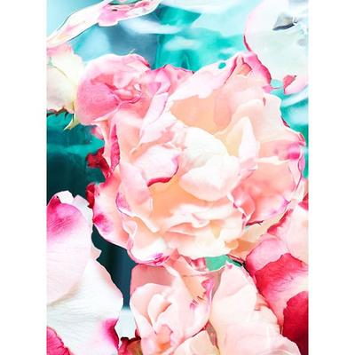 Bvlgari Rose Goldea Blossom Delight Eau de Parfum 75 ml - Perfumes (Edt/Edp)