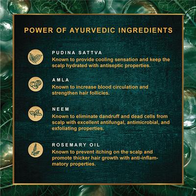 Indulekha Dandruff Treatment Shampoo 340 ml - Shampoos