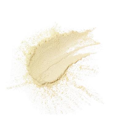 PAC Translucent Powder Mini 04 2 gm - Loose Powder