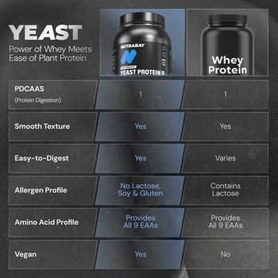 Nutrabay Yeast Protein Powder - Rich Chocolate Creme 1 kg - Whey Proteins