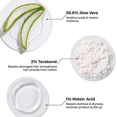 Brillare Terabond Shampoo for repairing & Preventing all Kind of hair Damage 200 ml - Shampoos