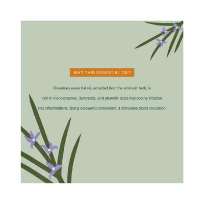 Juicy Chemistry 100% Organic Rosemary Essential Oil / 0.34oz 10.0 ml - Essential Oils