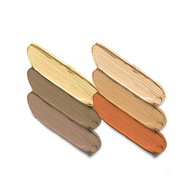 Swiss Beauty On the Move Concealer Palette - (Medium Beige) 7 gm - Concealer