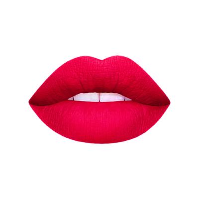 Matt Look Stay Matte Lipstick, Pink-Blossom 3.5 gm - Lipsticks