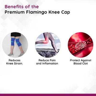 Flamingo Premium Knee Cap - Blue (OC 2127) (M) 1's - Knee/Leg Supports