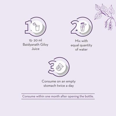 Baidyanath Giloy Juice 1000 ml - Ayurvedic Juices