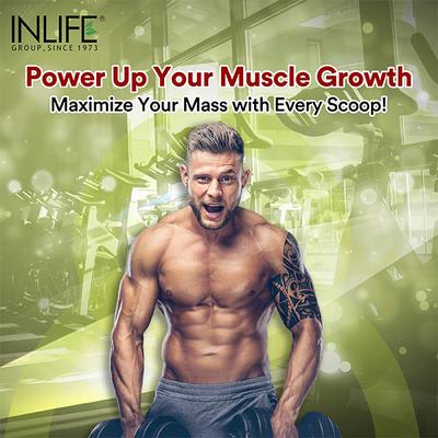 INLIFE Muscle Mass Gainer with Whey Protein Powder Chocolate Flavor 1 kg - Whey Proteins