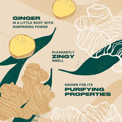 The Body Shop Scalp Erum Ginger A0X 50 ml - Hair Serums