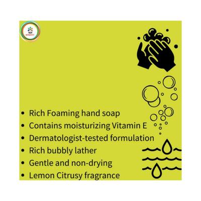 Bloomsberry Lemon Zest Gentle Foaming Hand Soap 450 ml - Hand Wash & Soaps