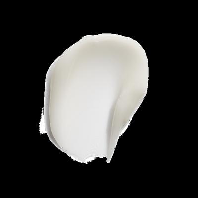 The Ordinary Squalane + Amino Acids Lip Balm (INT) 15 ml - Lip Balms