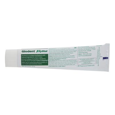 GLODENT Tooth Paste 70gm - Oral Care - P-Mou