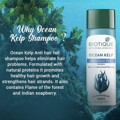 Biotique Anti Hair Fall Shampoo - Ocean Kelp 120 ml - Shampoos