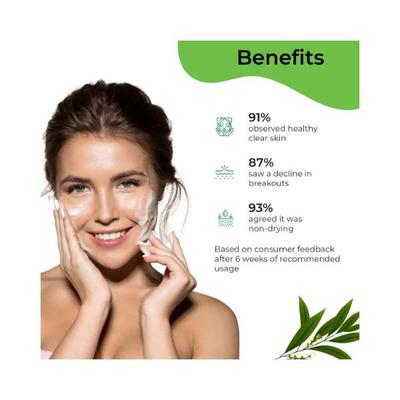 Pilgrim Tea Tree PURIFYING FOAMING FACE WASH 120 ml - Face Wash & Cleansers