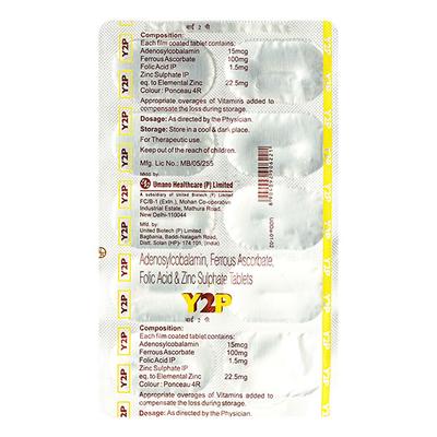 Y2P Tablet 10's - Iron Supplement/Anaemia-Vma