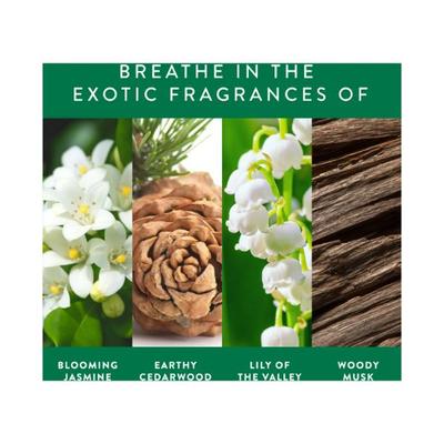 Find Your Happy Place After The Rain Body Scrub Jasmine & Cedarwood 250 gm - Scrubs & Exfoliants