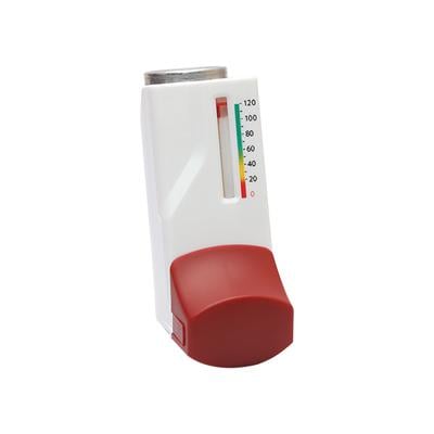 BUDAMATE G WITH DOSE INDICATOR 120md Inhalation 7.6g - Asthma/COPD-Ast
