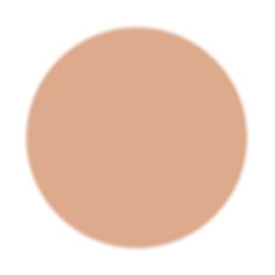 PAC Take Cover Concealer 11 Birthday Suit 6.8 gm - Concealer