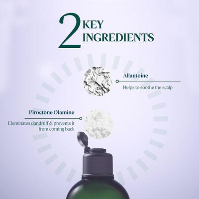 L'Occitane Anti Dandruff Shampoo 300 ml - Shampoos