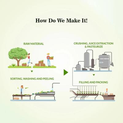 Swadeshi Memory Juice 500 ml - Ayurvedic Juices