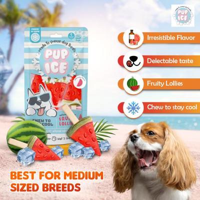 Pup Ice Fruity Lollies Watermelon 90 g - Petfood