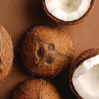 Petal Fresh Smoothing Coconut Body Scrub 473 ml - Scrubs & Exfoliants