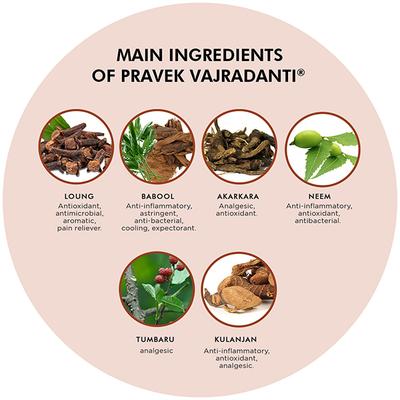 Pravek Vajradanti Powder 30 Gm - Tooth Powder