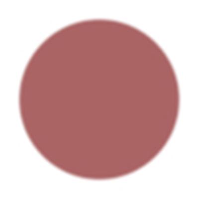 FAE Beauty Pale Pink Nude Buildable Matte Lipstick Shade Too Plain 3.5 gm - Lipsticks