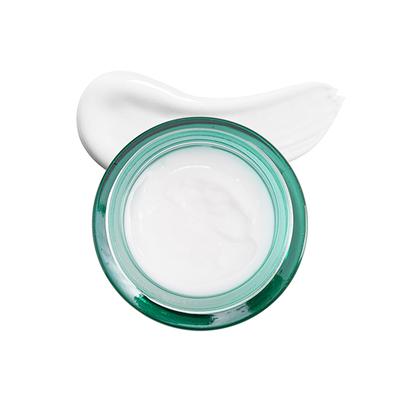 Swiss Beauty Skin Brightenign Day Cream 50 gm - Face Creams