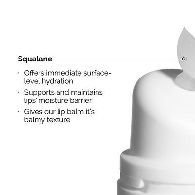 The Ordinary Squalane + Amino Acids Lip Balm (INT) 15 ml - Lip Balms