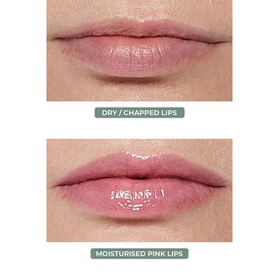 Organic Harvest Lip Butter Rose with Moisturizing Lips 4gm - Lip Balms