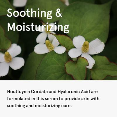 One Thing Houttuynia Cordata Serum 30 ml - Face Serum