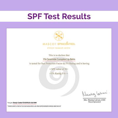 The Derma Co. 1% Ceramide Complex Lip Balm with Ceramides and Vitamin E for Dry and Chapped Lips 4 gm - Lip Balms