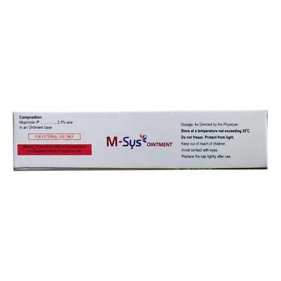 M SYS Ointment 10gm - Skin Infections-Toa