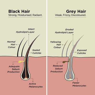 Amazing Greys Essential Grey Haircare Kit Shampoo and Conditioner Combo 200ml Each 2's - Shampoos