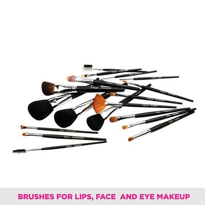 Vega Set Of 20 Brushes (LK - 20) 740.4 gm - Face Brush