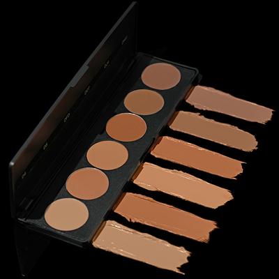 Star's Cosmetics Derma Series Colour Pallate Matte Finish, Waterproof Face Makeup 24 gm - Foundation