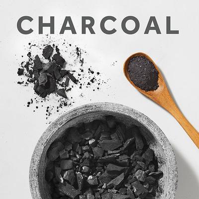 Pond's Pure White Anti Pollution Activated Charcoal Mineral Clay Mask 8 gm - Masks & Peels