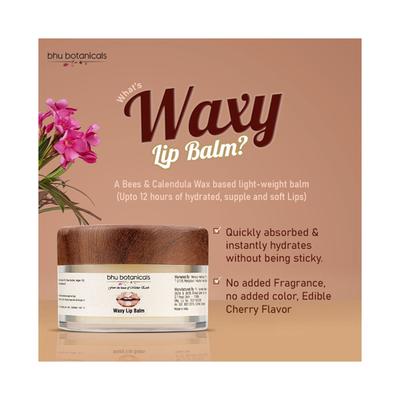 bhu botanicals Waxy Lip Balm with Beeswax Avocado Oil and Shea Butter 15 gm - Lip Balms
