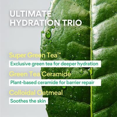 Innisfree Green Tea Ceramide Cream 50 ml - Face Moisturizers