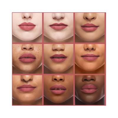 ETUDE Fixing Tint 05 Midnight Mauve 4 gm - Lipsticks