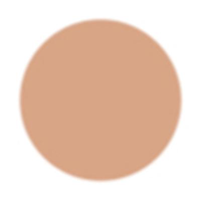 PAC Take Cover Concealer 09 Classic Beige 6.8 gm - Concealer